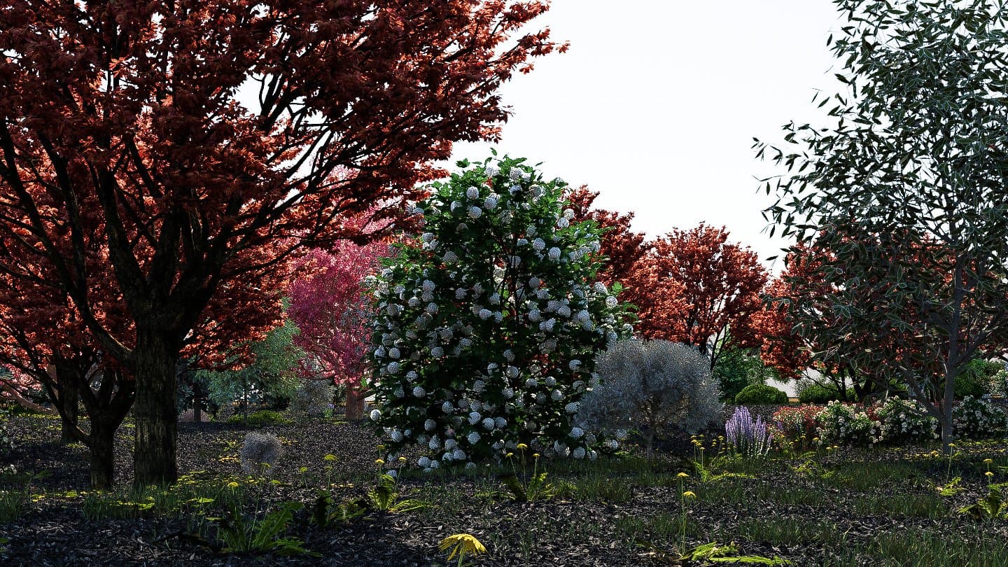 Render concept: vista 3