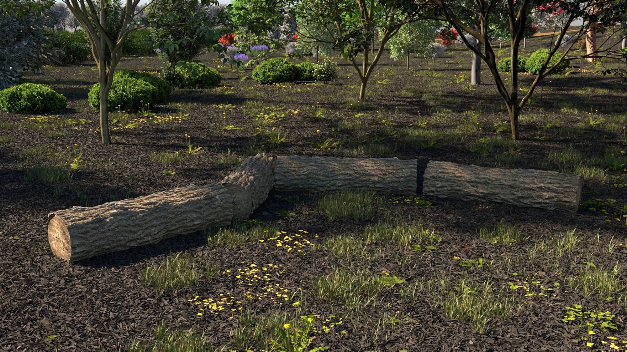 Sedute in tronchi di legno